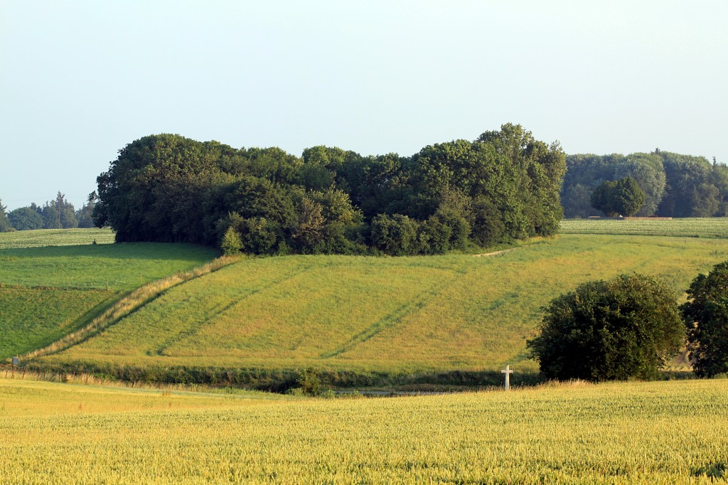 A view of Hawthorn Crater with the CWGC Cross of Sacrifice of Beaumont Hamel Military Cemetery visible in the lower left of the photograph